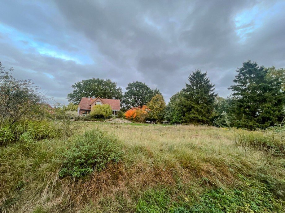 Grundst�ck Wohngrundst�ck Adendorf