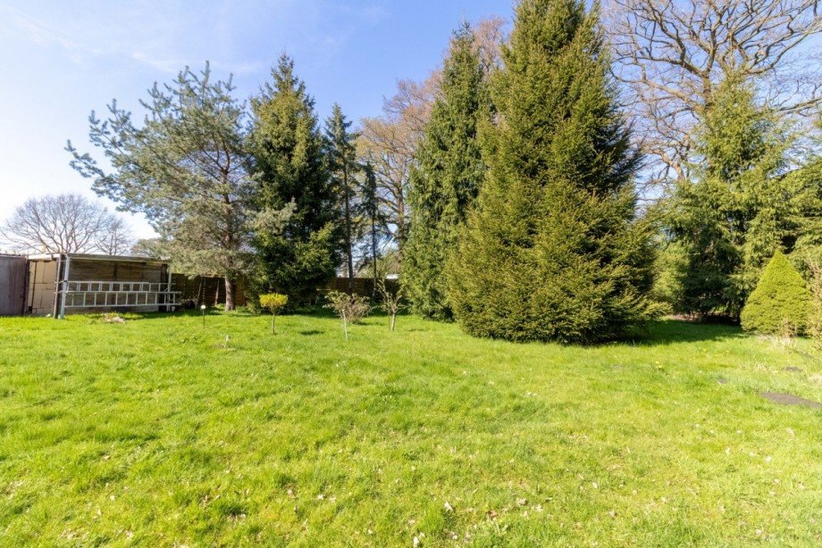 Gartenansicht Doppelhaush�lfte Horst (Holstein)