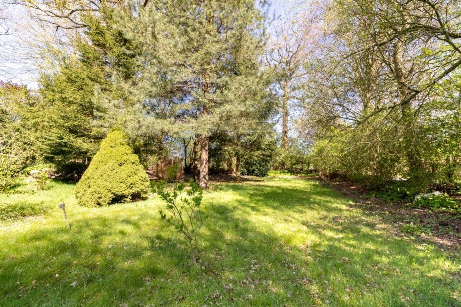 Blick in den Garten Doppelhaush�lfte Horst (Holstein)